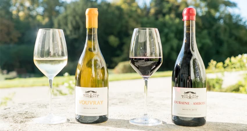 Domaine Château de Montdomaine